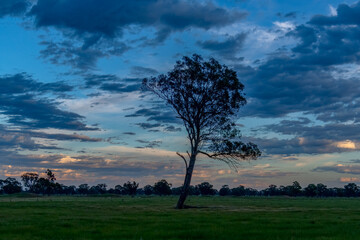 Naklejka premium Sunrise and clouds in the Riverina Countryside