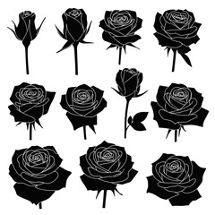 Dramatic Collection of Black Rose Silhouettes in Various Stages of Bloom