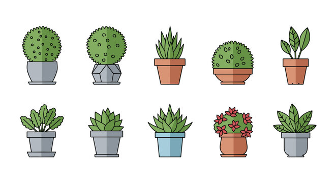 Set of Flat Design Vector Potted Houseplants and Succulents