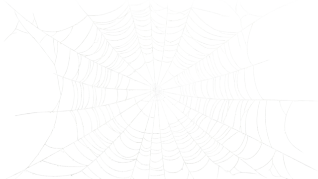 Detailed White Spider Web on Transparent Background for Halloween or Nature Themes