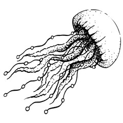 A graphic illustration of a jellyfish in a childish style. This hand drawn is perfect for a coloring book.