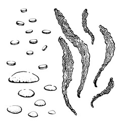 A set of graphic illustrations of underwater stones and seaweed. Hand drawn in a childlike style.