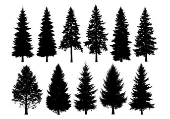 Collection of stylized pine trees in outline form isolated on transparent background
