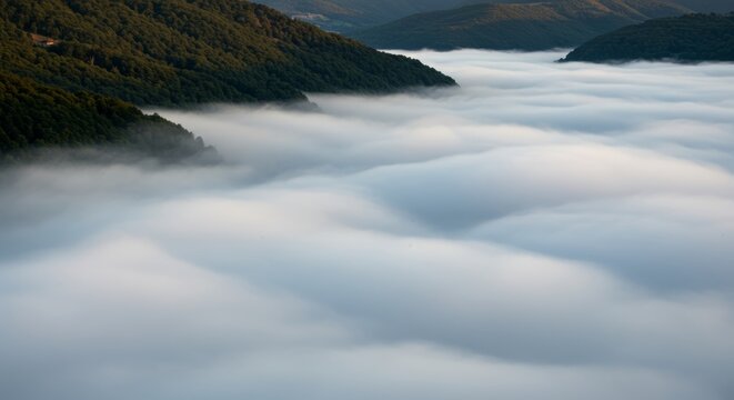 Spectacular misty landscape, Sea of fog rolling over the lush green mountain range