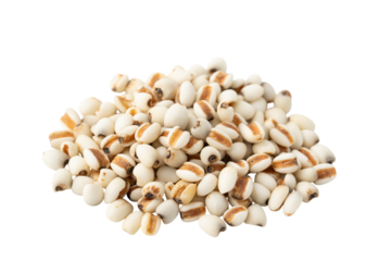 透明背景（png）にはと麦