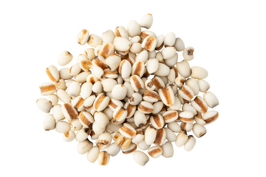 透明背景（png）にはと麦