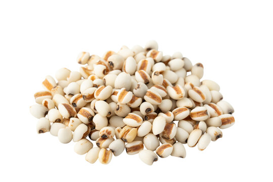 透明背景（png）にはと麦