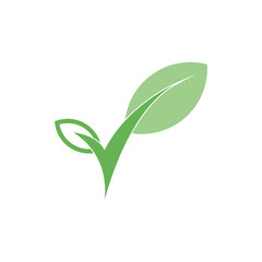 Leaf mint logo vector template