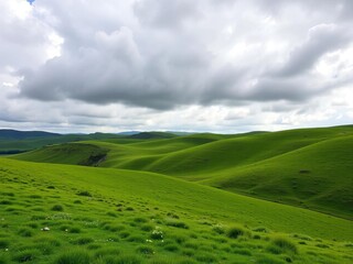 Fototapeta premium Rolling hills covered in green grass under a cloudy sky, cloudy, landscape