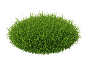 Green grass patch transparent background cutout png