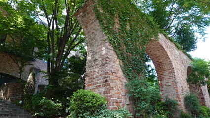 レンガの壁を這う蔦