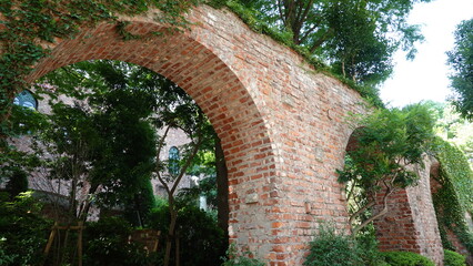 レンガの壁を這う蔦