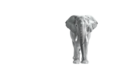 A grayscale majestic elephant stands front-facing, isolated against a stark black backdrop