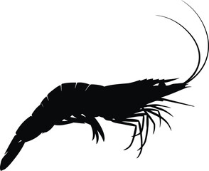 Black shrimp silhouette seafood ocean culinary