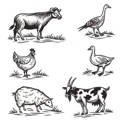 Fototapeta premium Vintage Engraving Farm Animals Set | Hand Drawn Livestock and Poultry