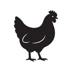 chicken vector illustration