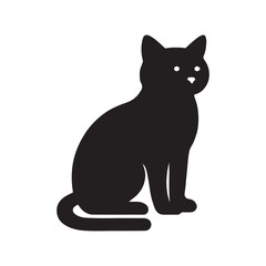 black cat on white background
