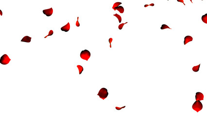 Red Rose Petals Falling in Light — Transparent Background
（光に反射しながら舞い落ちる赤い薔薇の花びら — 背景透過）