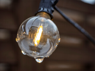 雨の雫に宿る灯り