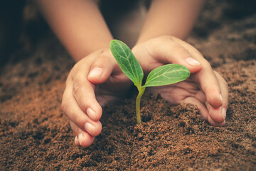 Small trees growing under the care of children symbolizing love for nature and life.