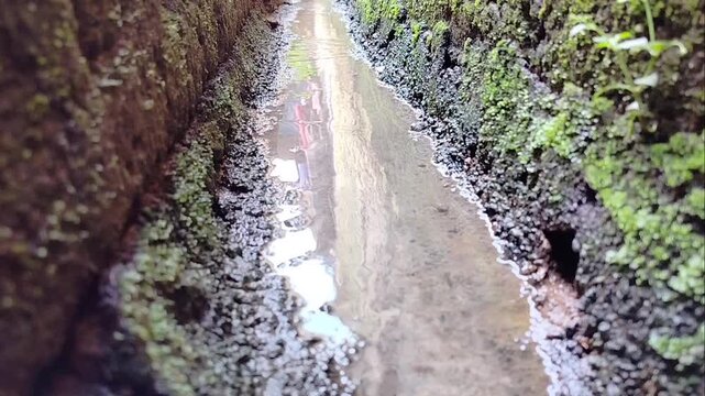 water flowing in the gutter with clear water with slightly mossy edges
