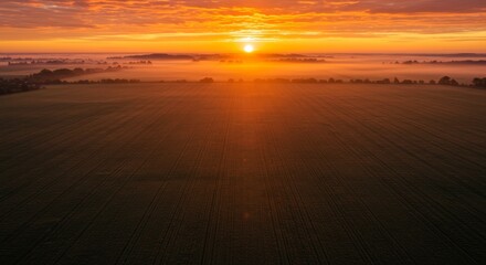 Spectacular aerial view of a vast agricultural field at golden sunrise