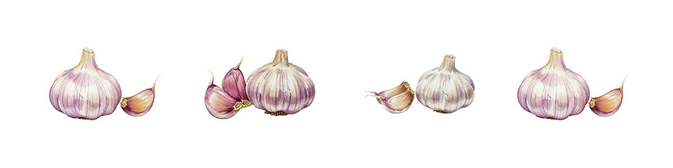 Obraz premium Garlic cloves and bulbs cutout transparent png set