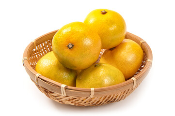 熊本名産、たまなみかん