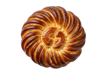 Nautilus spiral seashell isolated on white background with ammonite fossil