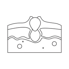 Acne Skin Cross Section line icon