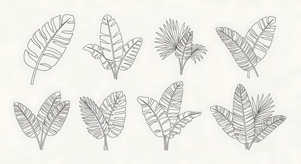 Tropical Leaves Line Art Collection - Botanical Illustrations for Design.