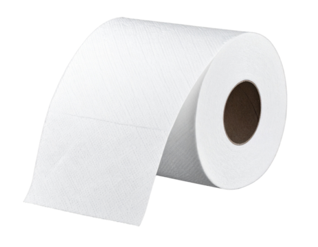  White Toilet Paper Roll with Unrolled Sheet PNG