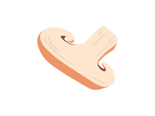 Agaricus Bisporus Mushroom Slice