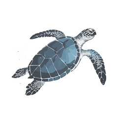 Fototapeta premium sea turtle vector illustration