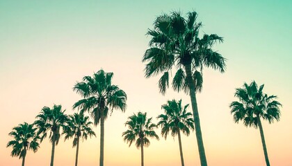 Palm trees silhouetted against a colorful, pastel-toned sky