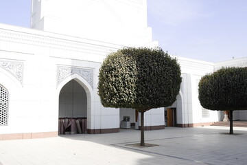 ウズベキスタン　首都タシケント