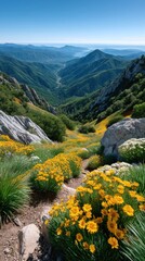 Vibrant Yellow Wildflowers Blanket A Lush Green Mountain Valley Under A Clear Blue Sky With Distant Ocean Views