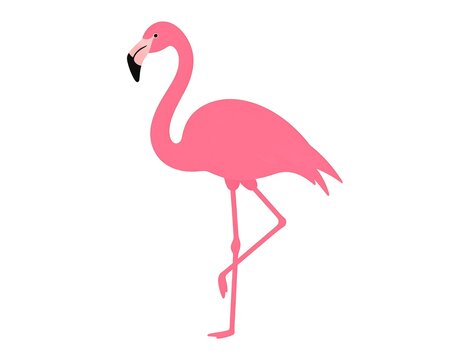 Silhouette of a pink, one-legged flamingo on a plain white background
