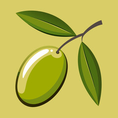 A single green olive with leaves on a branch silhouette isolated on white background