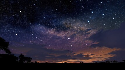 Fototapeta premium A starry night sky with a Milky Way galaxy, a silhouette of a tree, and a dark horizon with a few clouds.