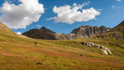 Colorful alpine meadow with hikers and majestic Himalayan mountains, Pakistan
