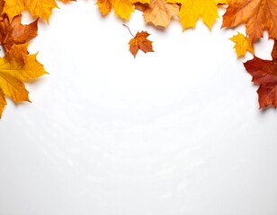 Autumn leaves frame on white background, seasonal decoration.