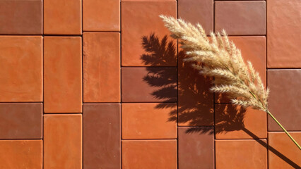 ears of wheat on a red tile