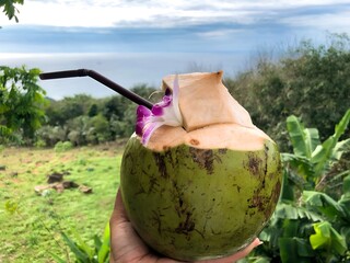 Fresh Coconut Drink with Straw and Orchid Flower in Tropical Nature Background