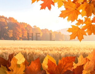 Autumnal Splendor - A Golden Field Framed by Vibrant Leaves.