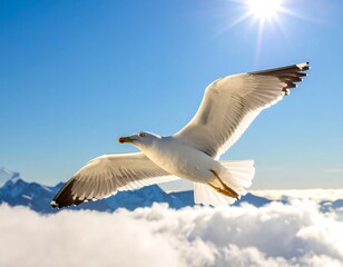 Obraz premium A seagull soars in bright sunlight above clouds and snow-capped peaks