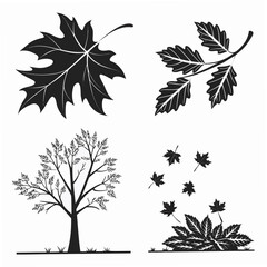 Black Autumn Leaves and Tree Silhouettes on White fall