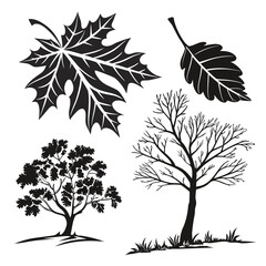 Black Silhouette Maple Leaf Oak Leaf Trees and Grass
