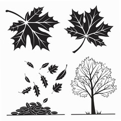 Autumn Leaves and Tree Silhouettes on White fall maple leaf