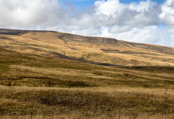 Autumn walks in the autumn park in the morning in the alpine area of the mountain range